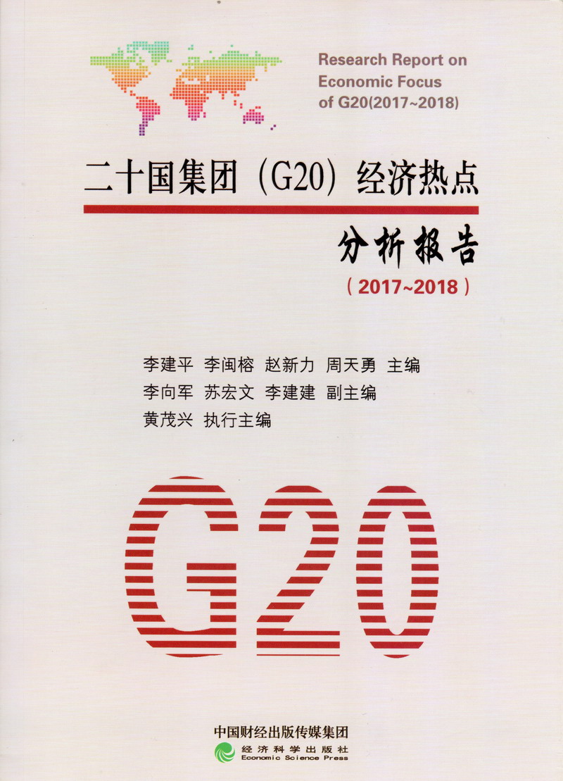 大鸡巴操逼真爽视频二十国集团（G20）经济热点分析报告（2017-2018）